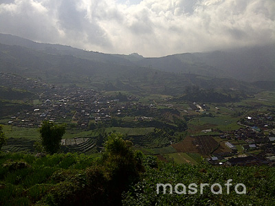 kedesa