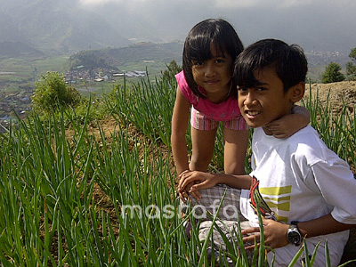 kedesa4