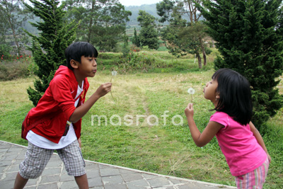 kedesa5