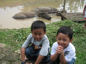 Rafa - Rizky bersama 2 kerbau