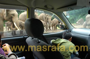 Taman Safari