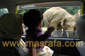 Taman Safari